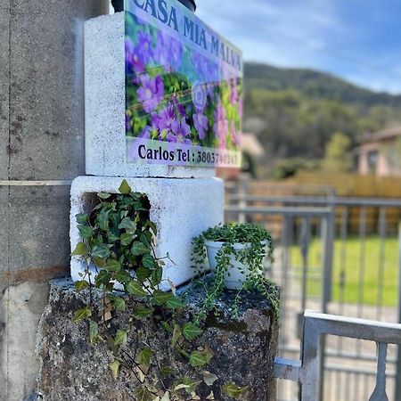Appartement Casa Mia Malva à Riccò del Golfo di Spezia Extérieur photo
